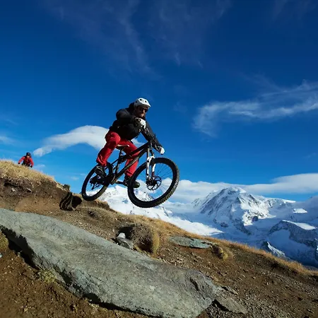 Aristella Swissflair Ζερμάτ